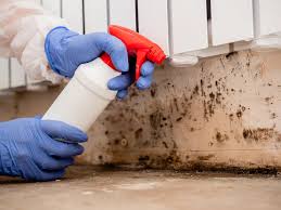 Best Asbestos and Lead Testing During Mold Inspection  in Kaukauna, WI